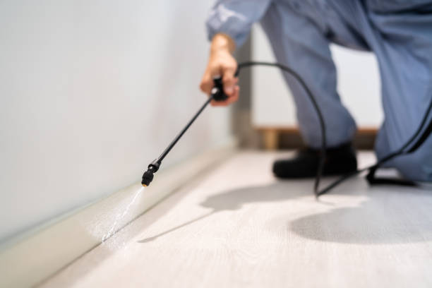 Licensed Termite Control service in Fairfax, CA - Nex Pest Control