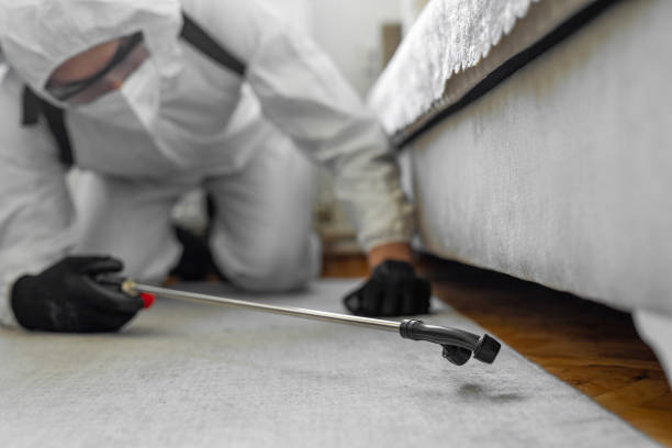 Professional Termite Control technician working in Fairfax, CA