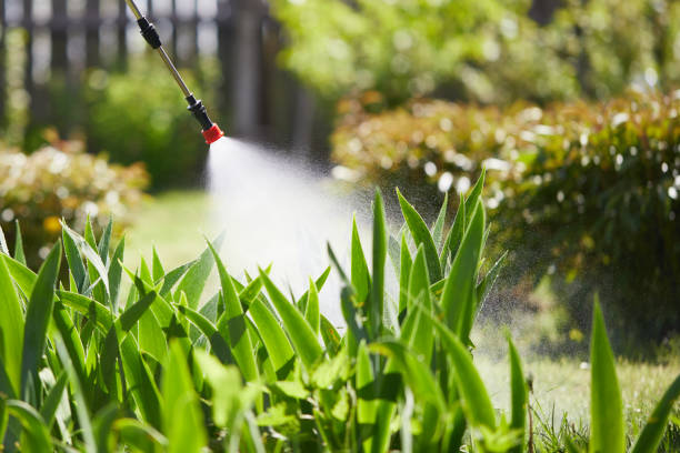 24/7 Emergency Termite Control experts in Fairfax, CA
