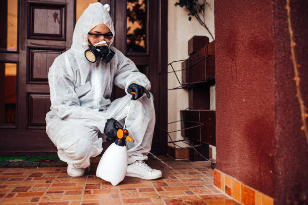 Reliable Termite Control contractor in Fairfax, CA by Nex Pest Control