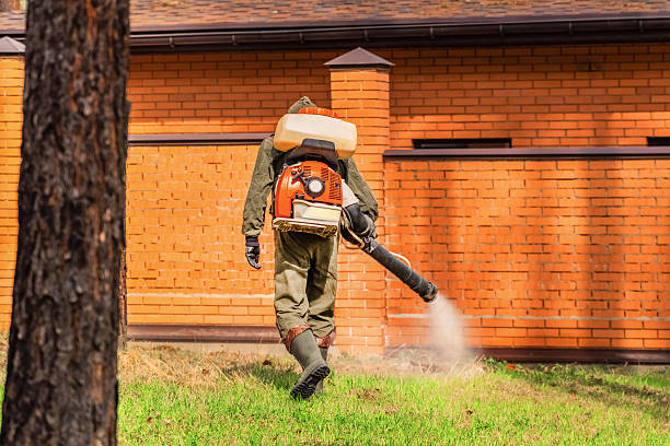 Trusted Rodent Control service in Fairfax, CA - Nex Pest Control